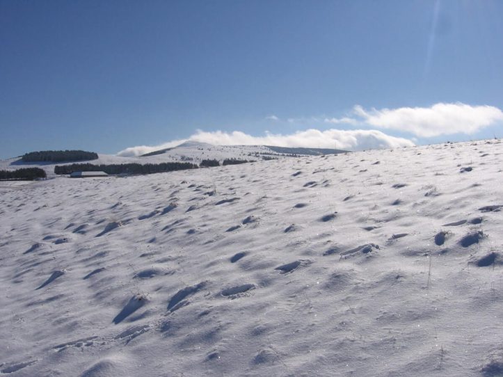 Sa mạc Turkestan phủ tuyết