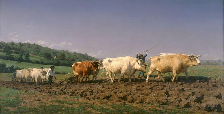 Ploughing in the Nivernais” (1849), by Realism artist Rosa Bonheur